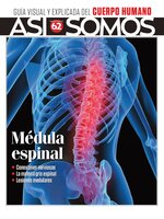 Así Somos - El cuerpo humano